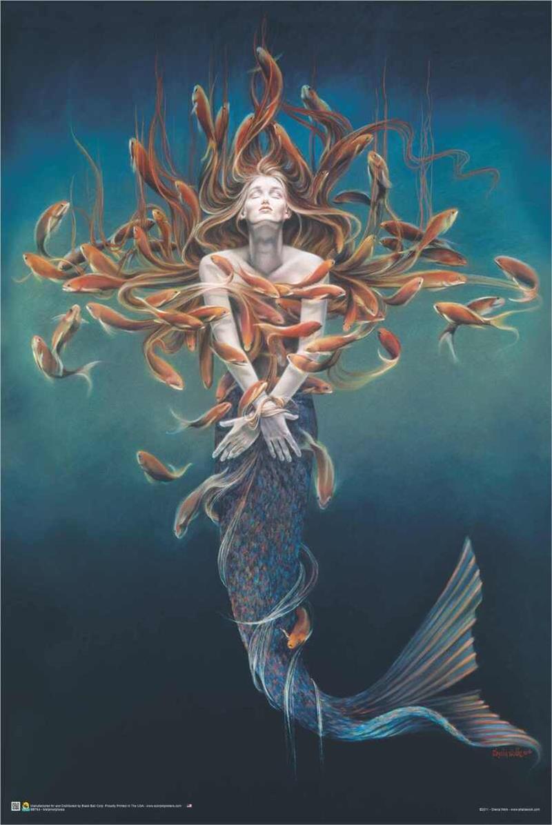 Metamorphosis by Sheila Wolk, Poster