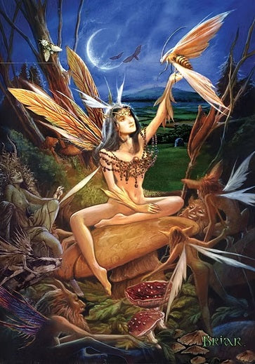 Moth Faery by Briar Greeting Card