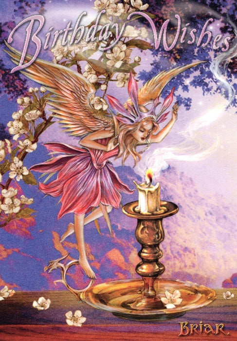 Make A Wish by Briar Birthday Card