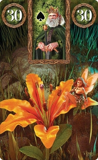 Fairy Lenormand Oracle by by Marcus Katz (Author), Tali Goodwin (Author), Davide Corsi (Artist)