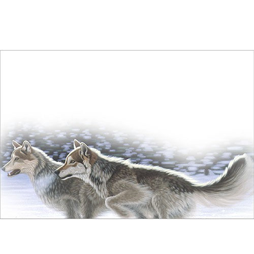 Midnight Run by Schim Schimmel, Greeting Card