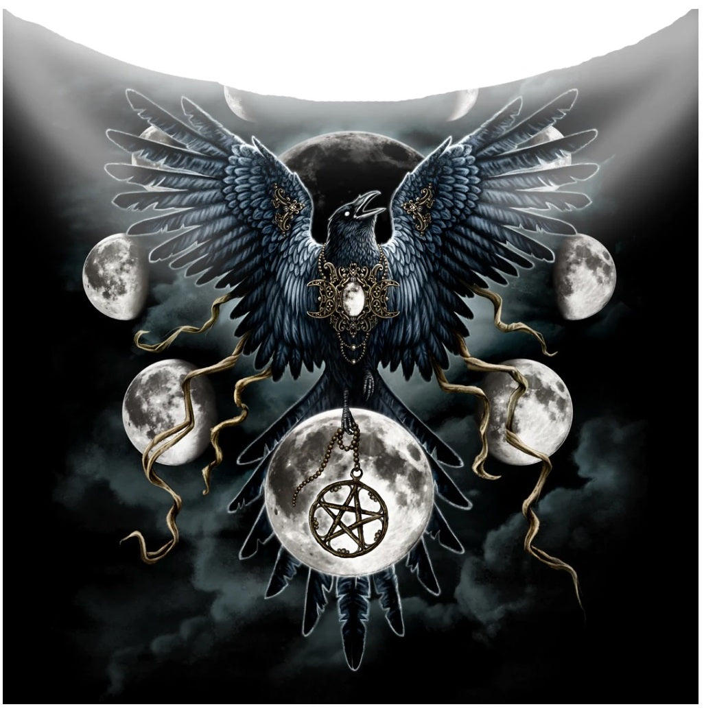 Sinister Wings by Sarah Richter, Fleece Blanket