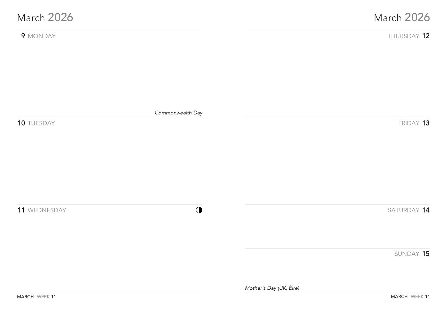 Anne Stokes: Raising Dragons 2026 Luxury Pocket Diary Planner