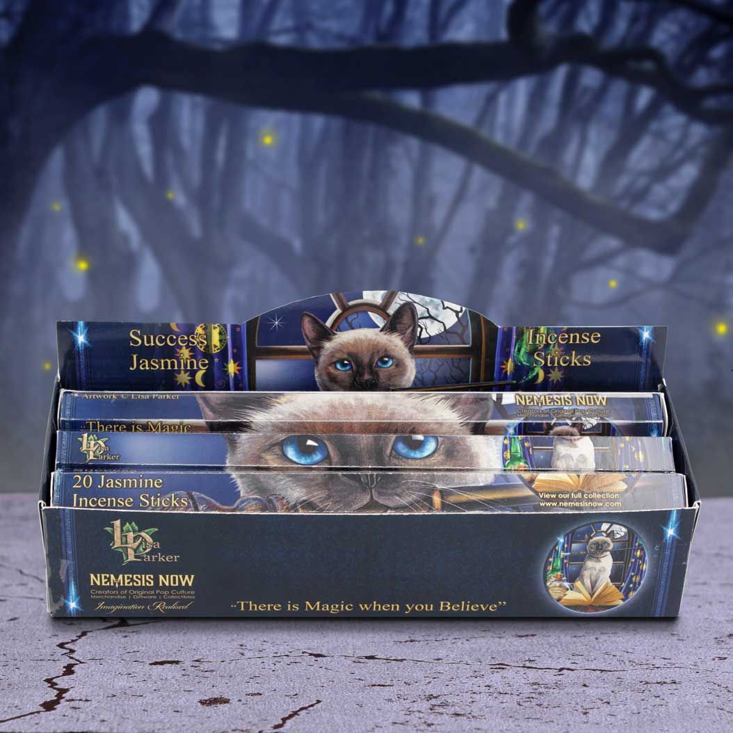 Lisa Parker Jasmine Scented Success Incense Sticks