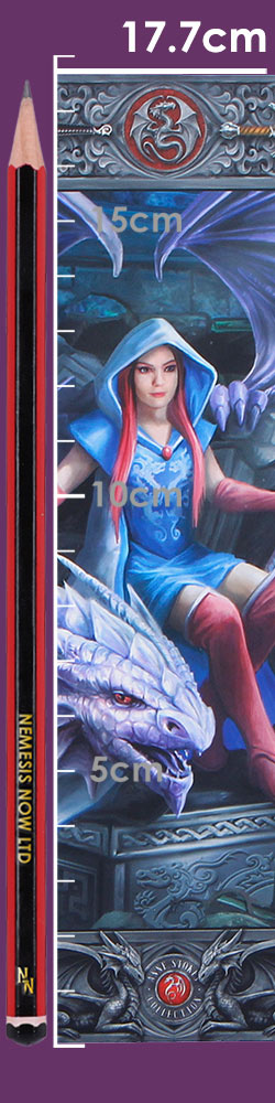 Anne Stokes The Dragon Mage Journal