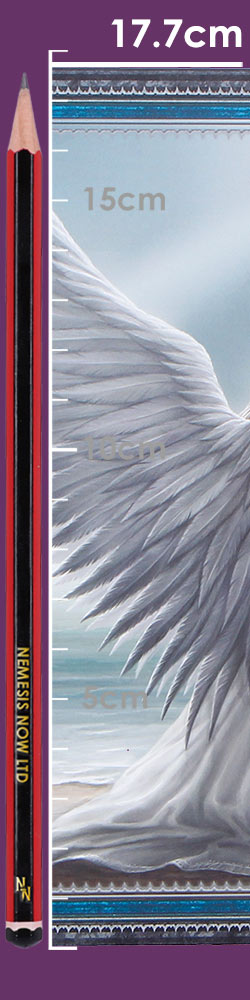 Anne Stokes Spirit Guide Journal
