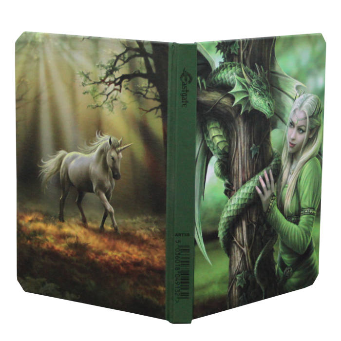 Kindred Spirits by Anne Stokes, Journal