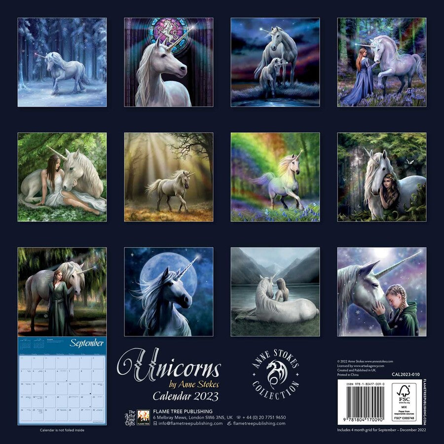 Unicorns by Anne Stokes Wall Calendar 2023 (Art Calendar)