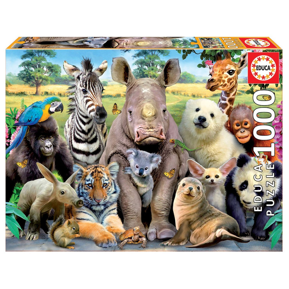 It´s a class photo by Howard Robinson, 1000 Piece Puzzle