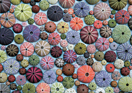 Sea Urchins by PoppHackner Photography, 1000 Piece Puzzle
