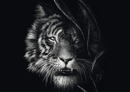 Wilderness – Tiger: the epitome of Freedom by Ashley Rader, 1000 Piece Puzzle