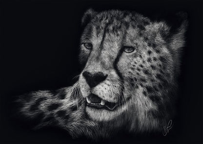 Speed – Cheetah: the epitome of Grace by Ashley Rader, 1000 Piece Puzzle