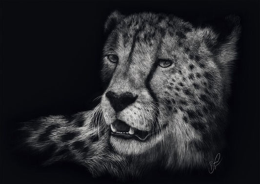 Speed – Cheetah: the epitome of Grace by Ashley Rader, 1000 Piece Puzzle