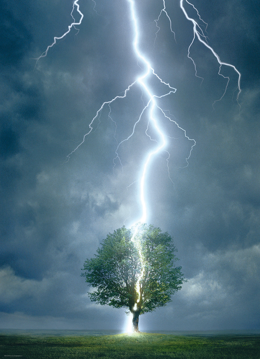 Lighting Striking Tree, 1000 Piece Puzzle