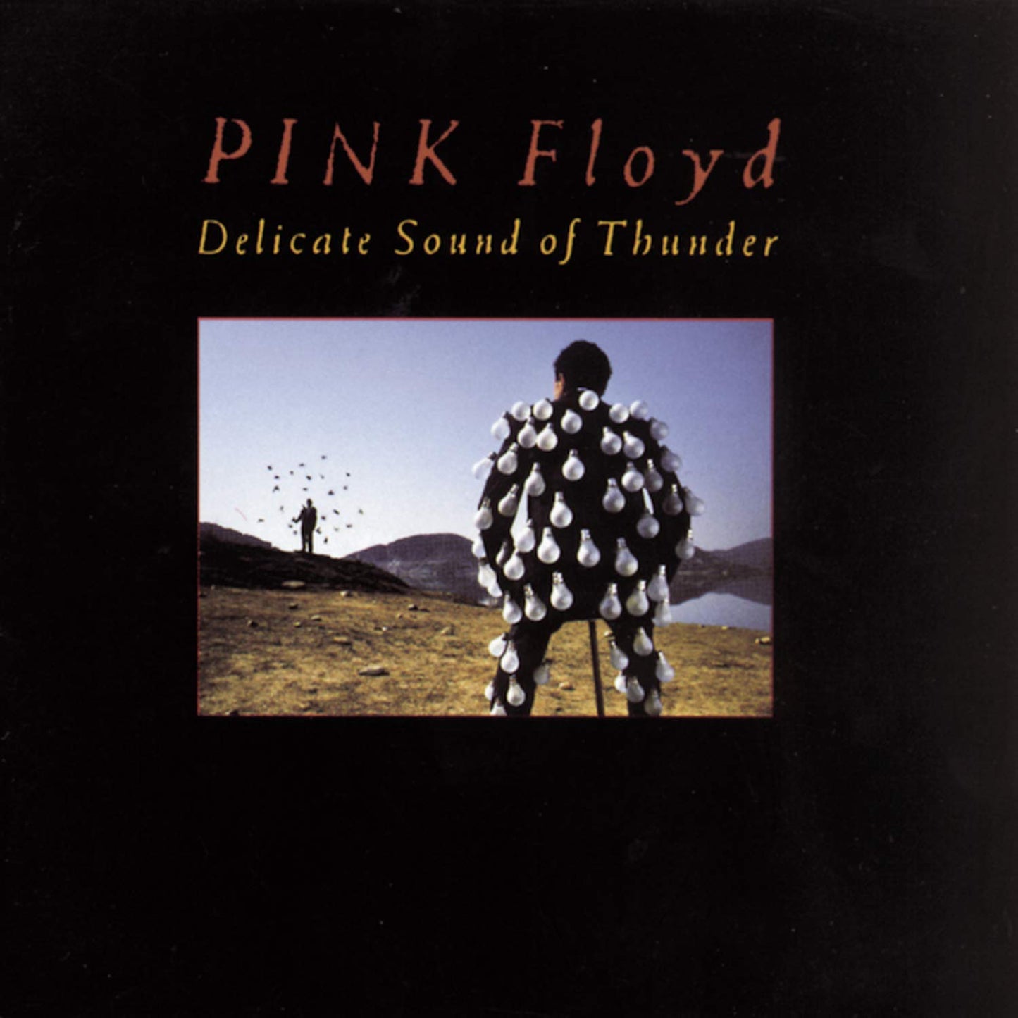 Pink Floyd - Delicate Sound of Thunder, 1000 Piece Puzzle