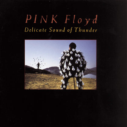 Pink Floyd - Delicate Sound of Thunder, 1000 Piece Puzzle