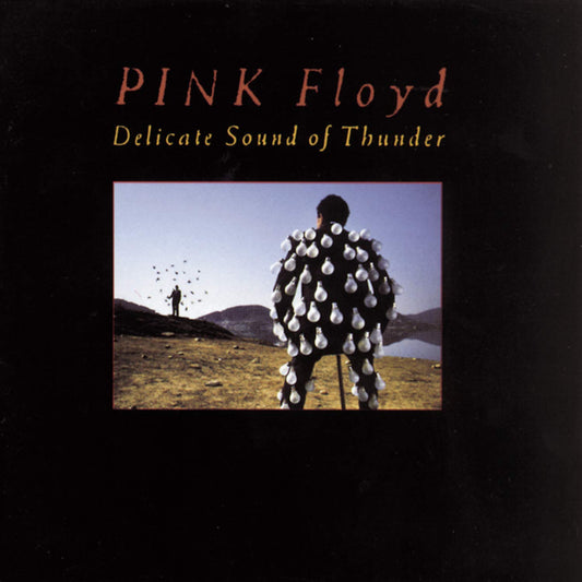 Pink Floyd - Delicate Sound of Thunder, 1000 Piece Puzzle