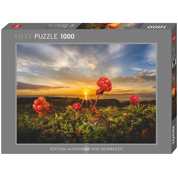 Cloudberries from Alexander von Humboldt, 1000 Piece Puzzle