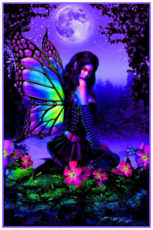 Fairy Garden - Non-Flocked Blacklight-plakat