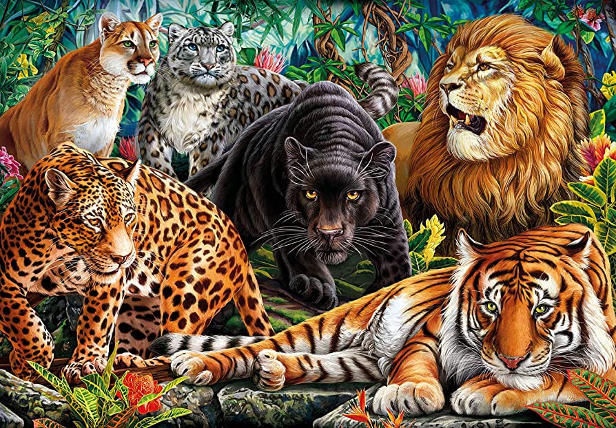 Wilde katten van Image World, puzzel van 500 stukjes