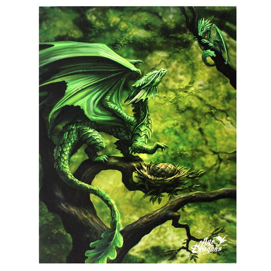 Forest Dragon by Anne Stokes, Canvas Print