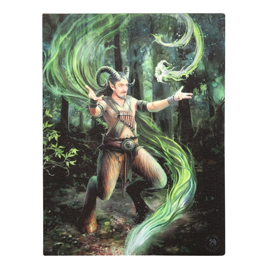 Earth Elemental Wizard door Anne Stokes, canvasafdruk