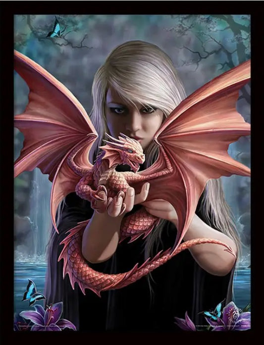 Dragon Kin af Anne Stokes, præ-indrammet tryk