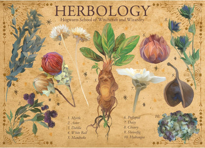 Harry Potter - Herbology, 1000 Piece Puzzle