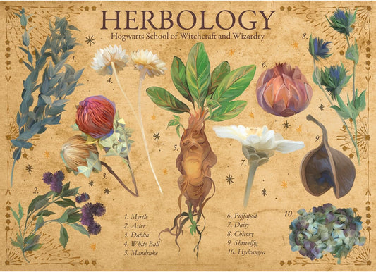 Harry Potter - Herbology, 1000 Piece Puzzle