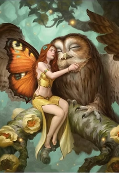 Fairy & Owl by James Ryman Greeting Card
