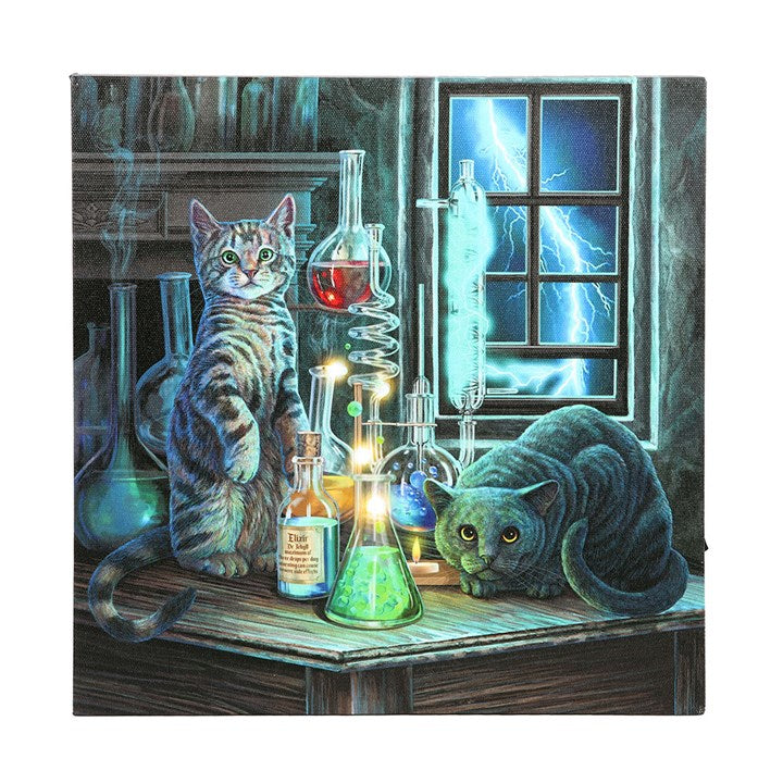 Jekyll and Hyde by Lisa Parker, Light Up Canvas Print