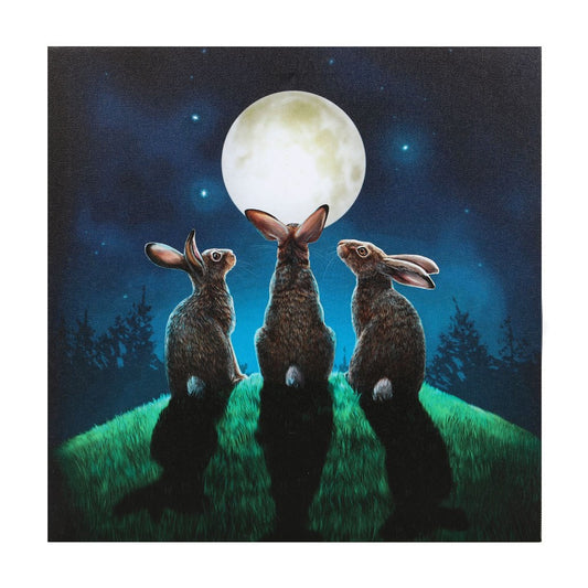 Moon Shadows by Lisa Parker, Light-Up Canvas Print