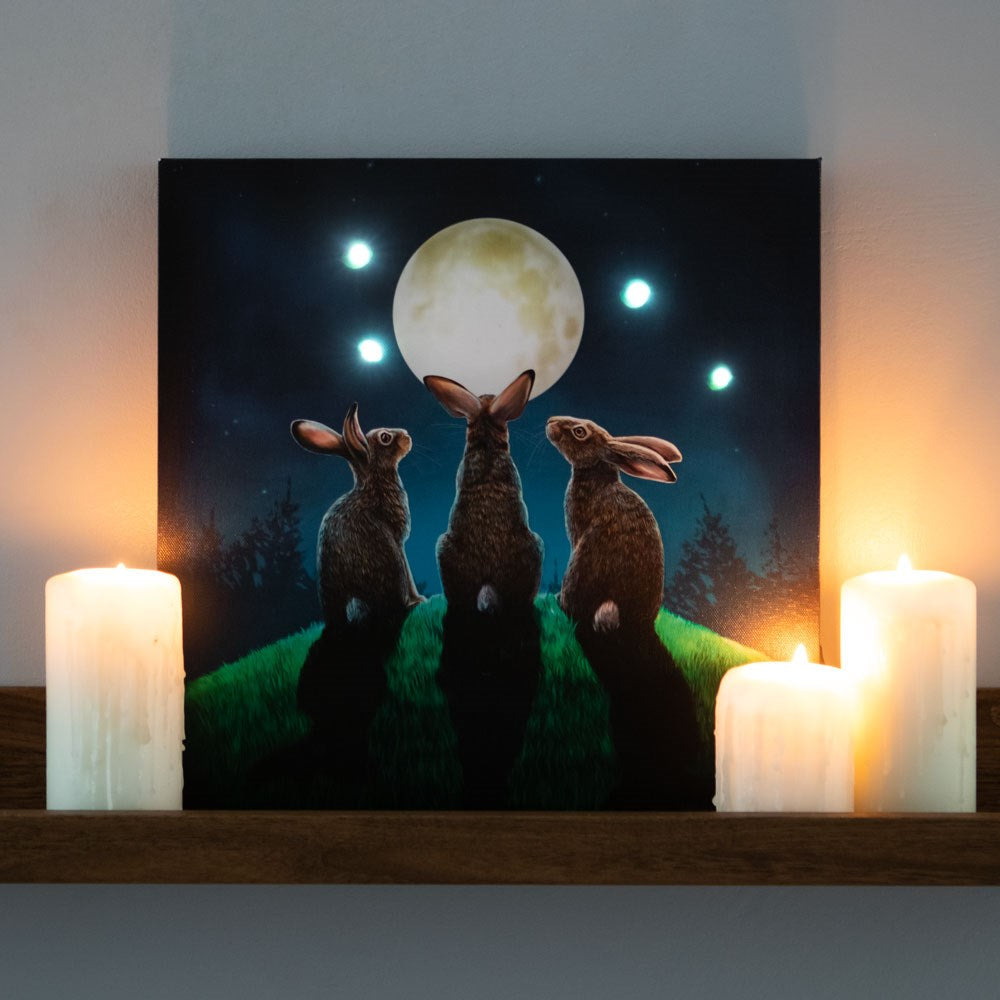 Moon Shadows by Lisa Parker, Light-Up Canvas Print