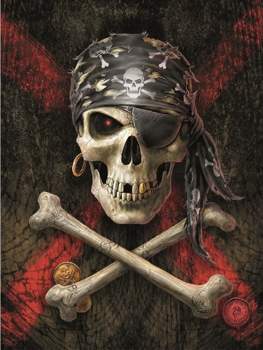 Pirate Skull af Anne Stokes, XL lærredstryk