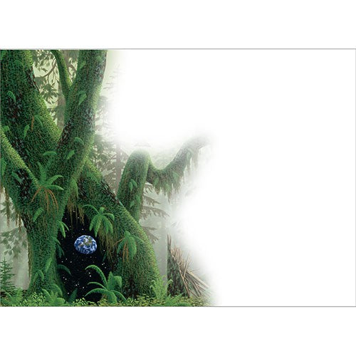 Heart of the Forest by Schim Schimmel, Greeting Card