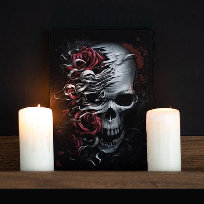 Skulls N' Roses by Spiral Direct, Canvas Print