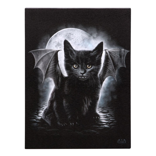 Bat Cat by Spiral, Canvas Print