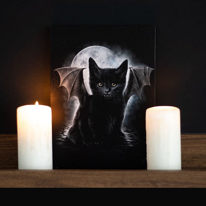 Bat Cat by Spiral, Canvas Print