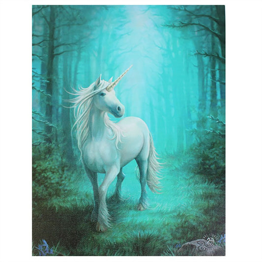 Forest Uniform by Anne Stokes, Canvas Print