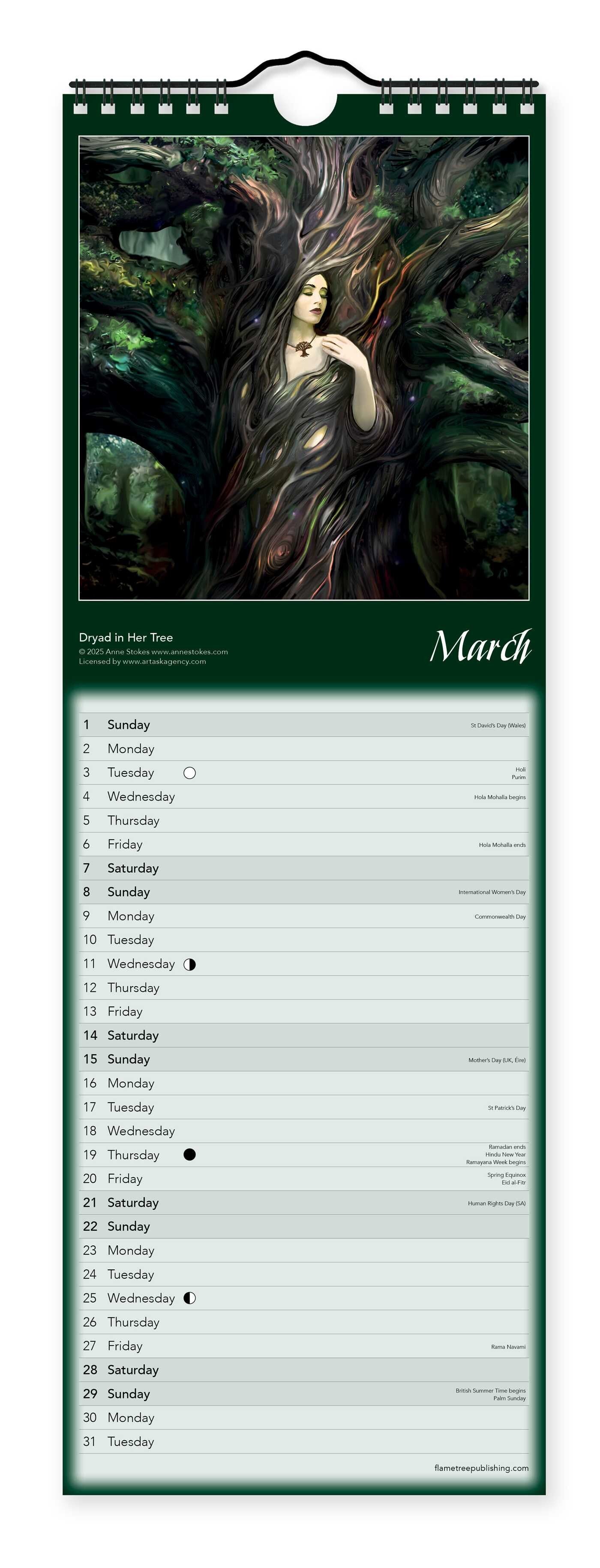 Anne Stokes Slim Calendar 2026 (Art Calendar)