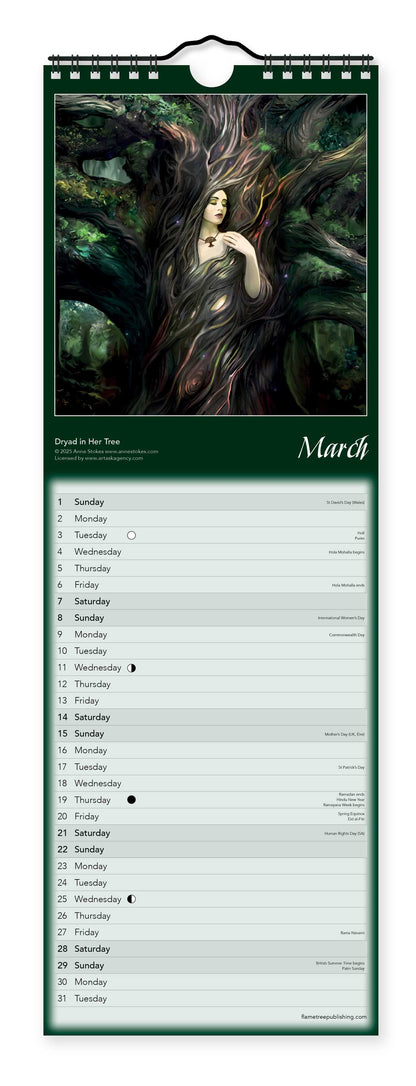 Anne Stokes Slim Calendar 2026 (Art Calendar)