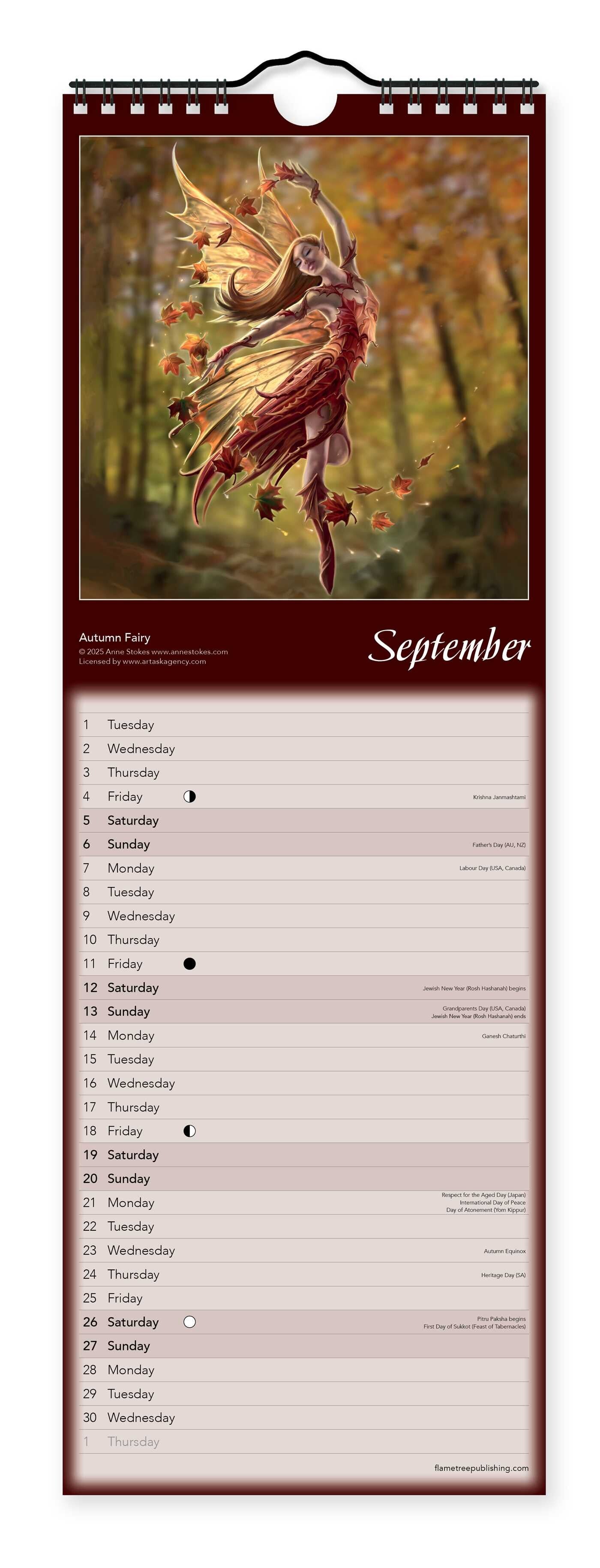 Anne Stokes Slim Calendar 2026 (Art Calendar)