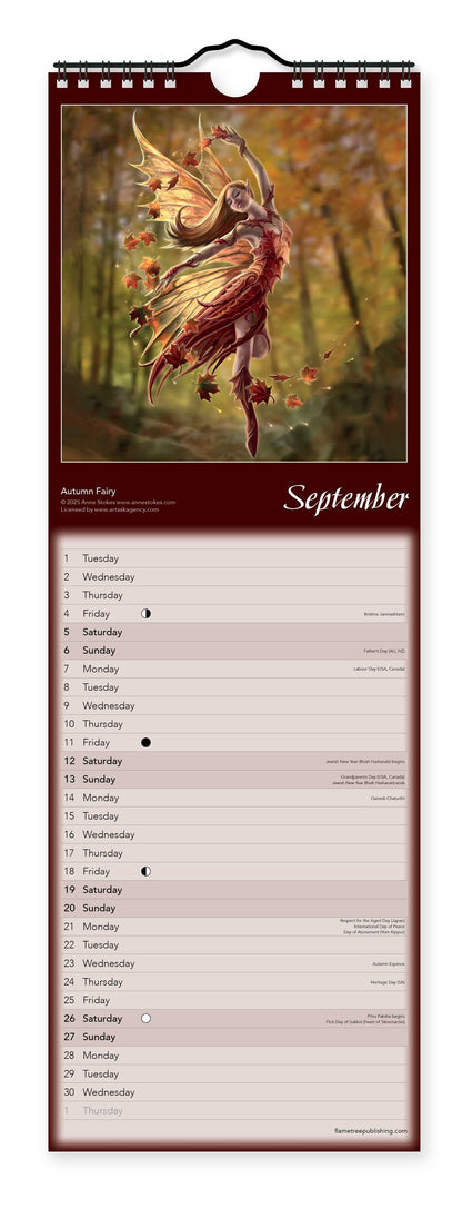 Anne Stokes Slim Calendar 2026 (Art Calendar)