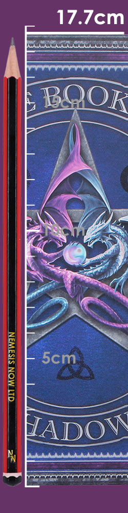 Anne Stokes The Book of Shadows Journal