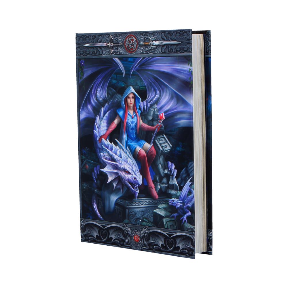 Anne Stokes The Dragon Mage Journal