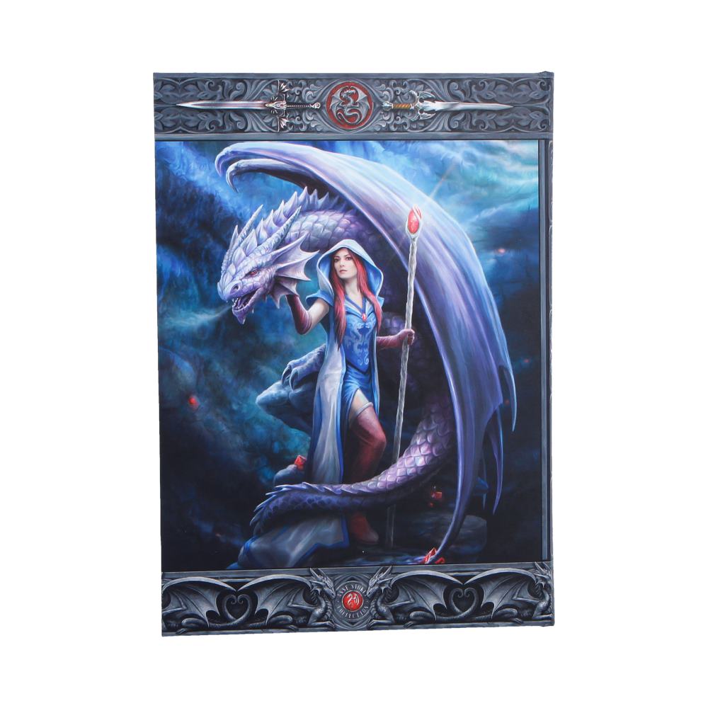 Anne Stokes The Dragon Mage Journal