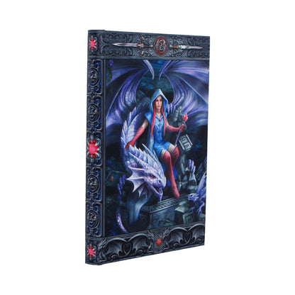 Anne Stokes The Dragon Mage Journal
