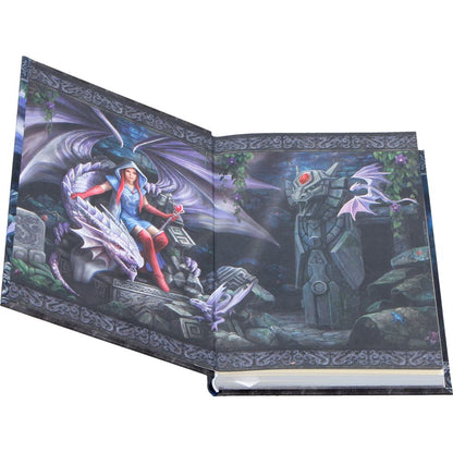 Anne Stokes The Dragon Mage Journal