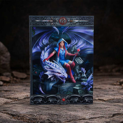 Anne Stokes The Dragon Mage Journal