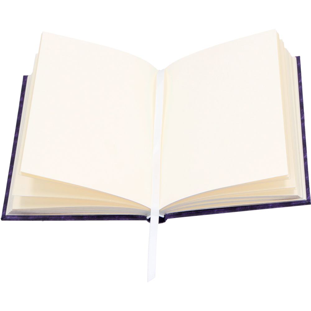 Anne Stokes Welcome Hatchling Journal